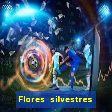 Flores silvestres brasileiras brasileiras flores silvestres nomes e imagens